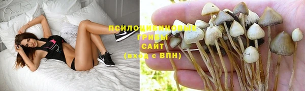 мдма Ладушкин