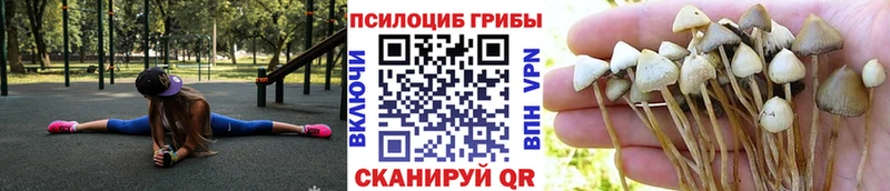 Псилоцибиновые грибы Psilocybine cubensis  наркотики  Тбилисская 
